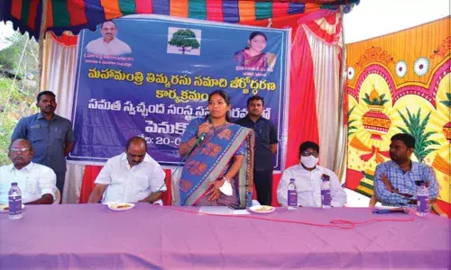 Penukonda Sub-Collector T Nishanthi has taken up the renovation of Timmarasu tomb