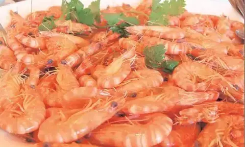 Krishna tops in marine exports in Andhra pradesh