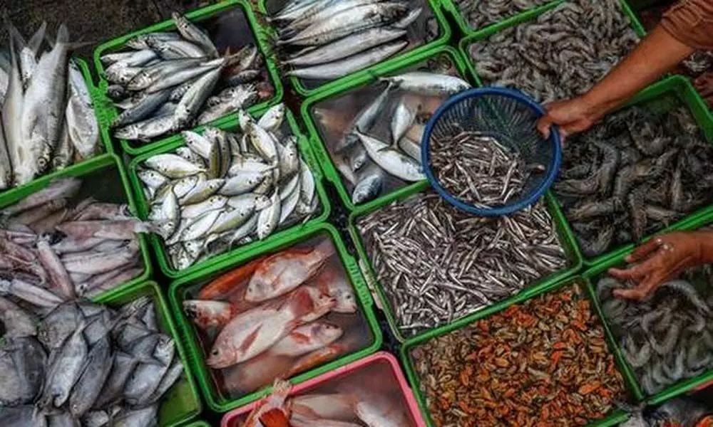 Seafood exports from India see all-round dip in 2020-21