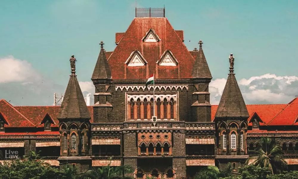 Wont permit experiments with faulty ventilators: Bombay HC