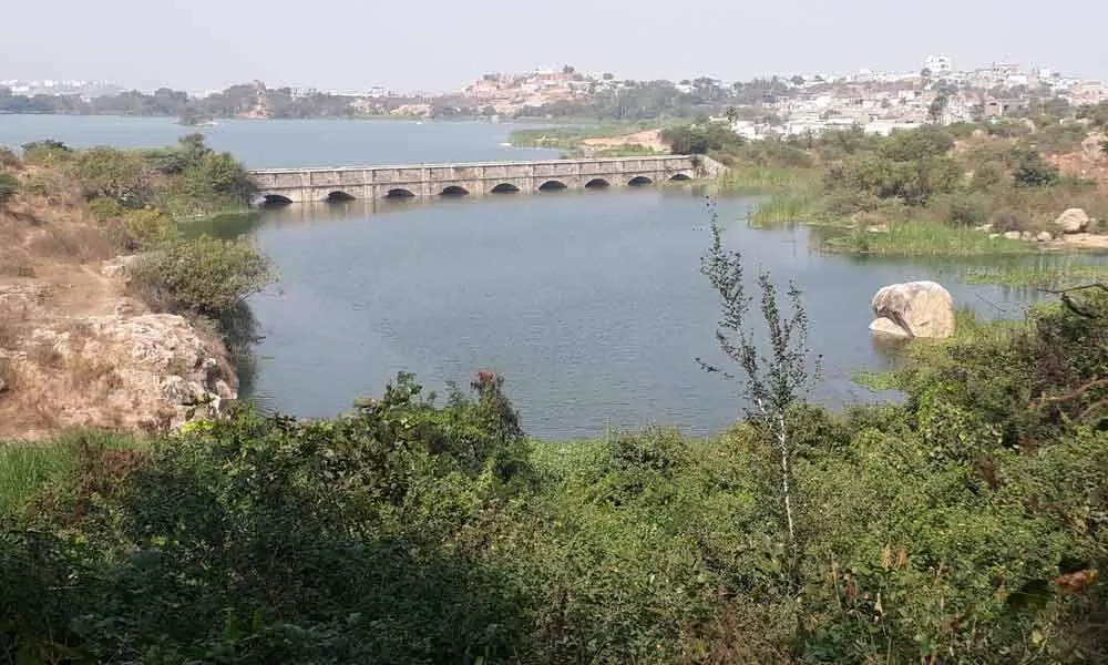 Jalpally Lake proposed rock garden project put on accelerated mode