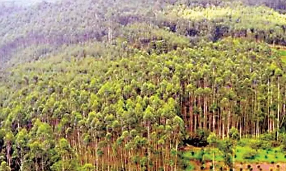 Advocate seeks provision in Act for making encroachment of forest land cognizable, non-bailable