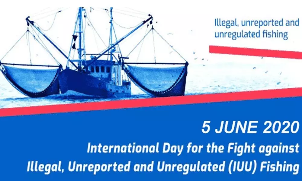 International Day for the Fight against Illegal, Unreported and Unregulated Fishing 2021