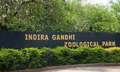 IGZP to conduct summer camp for students from June 28