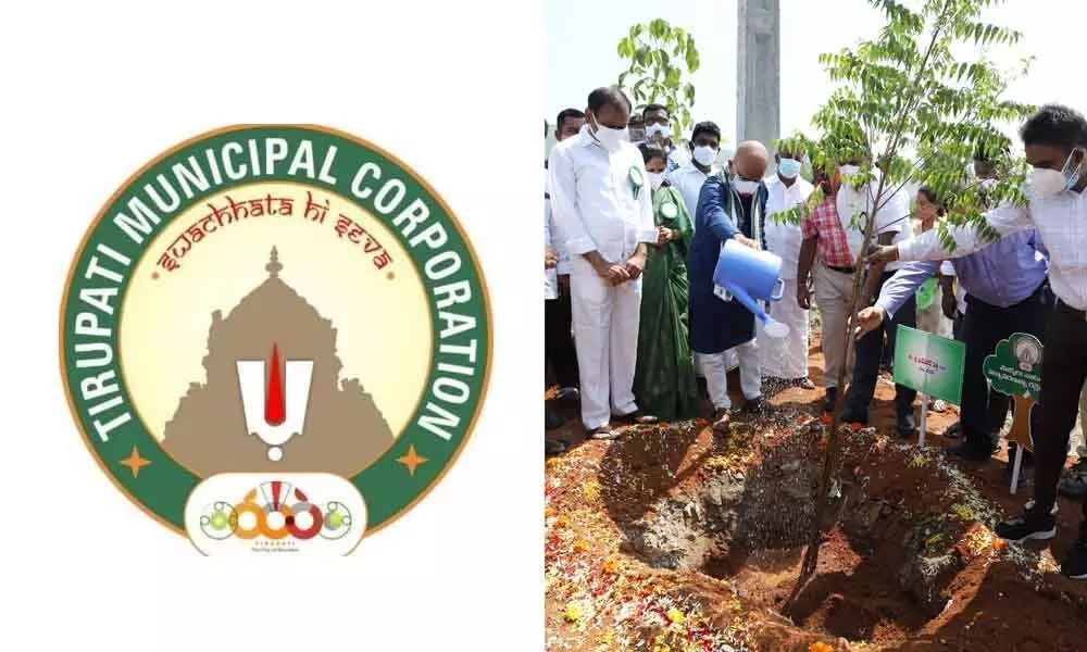 TTD EO  K S Jawahar  Reddy planting a sapling to mark the World Environment Day at Thimminaidupalyam in Tirupati on Saturday