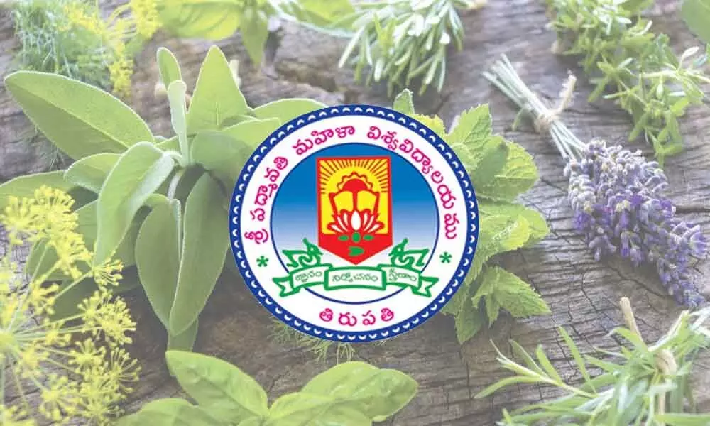 SPMVV initiates herbal garden with 50 medicinal plants