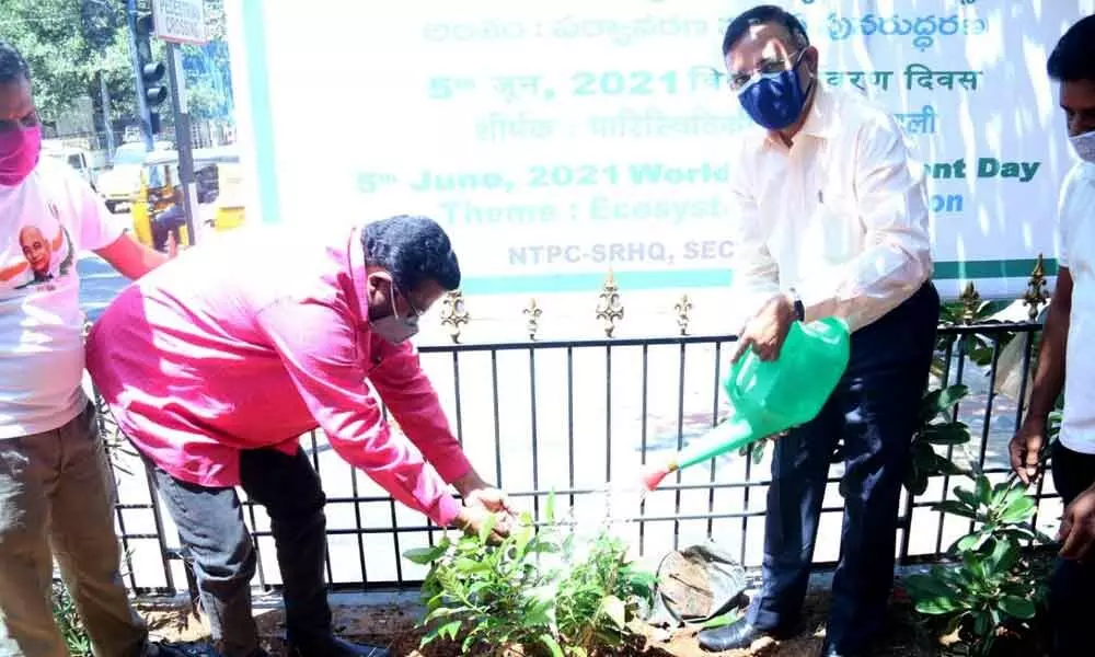 NTPC staff take green pledge