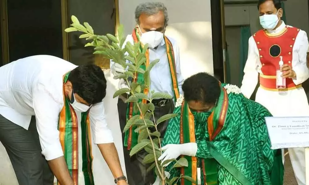 Governor Tamilisai Soundararajan plants saplings at Raj Bhavan on World Environment Day