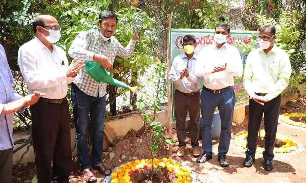 SCCL Directors planting plants on World Environment Day at Singareni Bhavan in Hyderabad