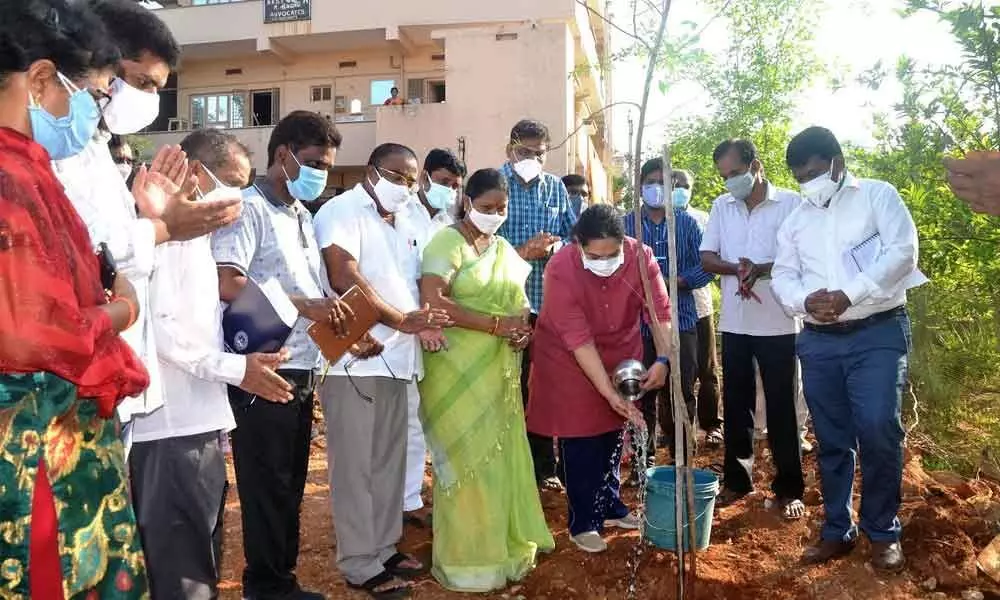GVMC Commissioner G Srijana planting a sapling on the occasion of World Environment Day in Visakhapatnam on Saturday