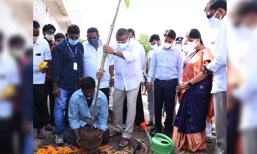 Endowments Minister Vellampalli Srinivas planting a sapling at the 43rd division in Vijayawada on Saturday on the occasion of the World Environment Day.  Mayor R Bhagyalakshmi and others are seen.