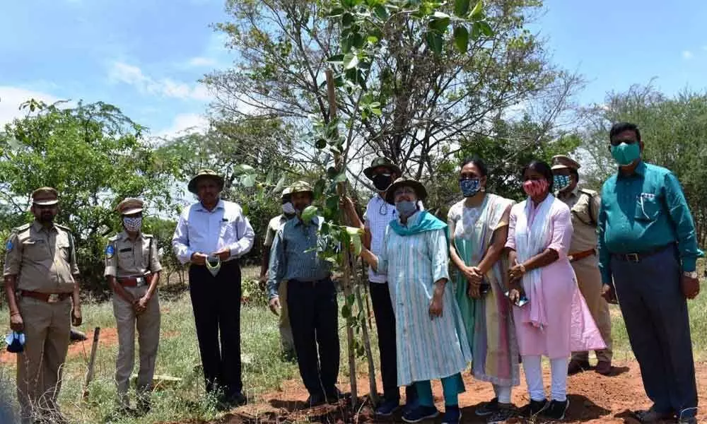 Hyderabad: Tree plantation at zoo parks World Environment Day