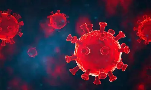 Did Chinas Bat Woman receive $600K from US for coronavirus work?