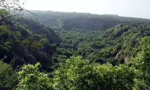 Protection of deemed forest takes a beating in State