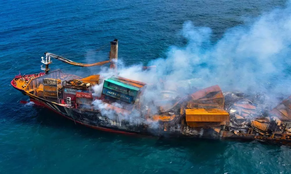 Dead animals wash up ashore in Sri Lanka after burning of cargo ship