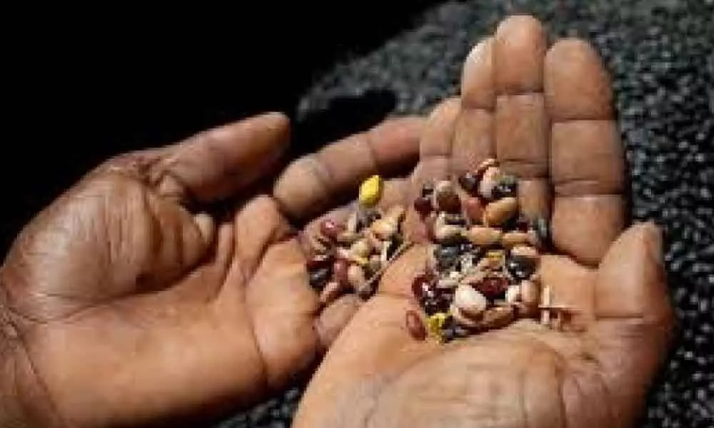 PD Act will be invoked on fake seeds sellers