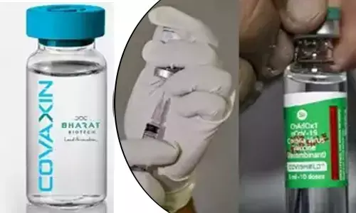 In A Preliminary Study, Covishield  Produced More Antibodies Than Covaxin