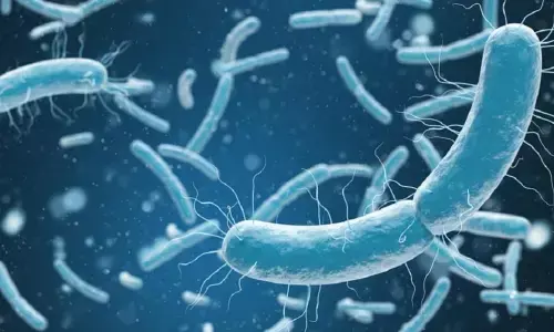 For representational purpose