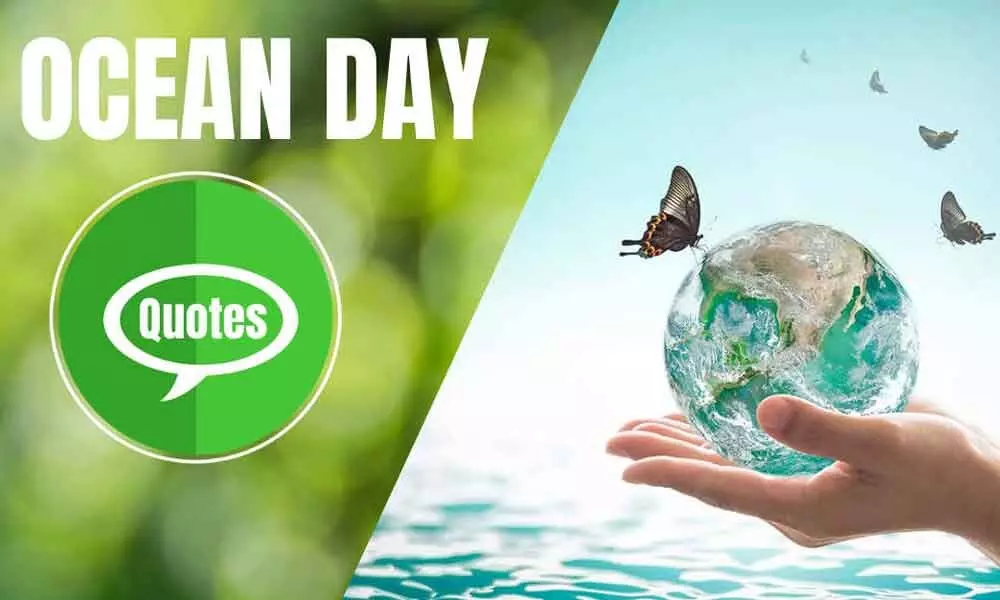 Netizens Posts To Make People Remember The Significance Of The Oceans on World Ocean Day