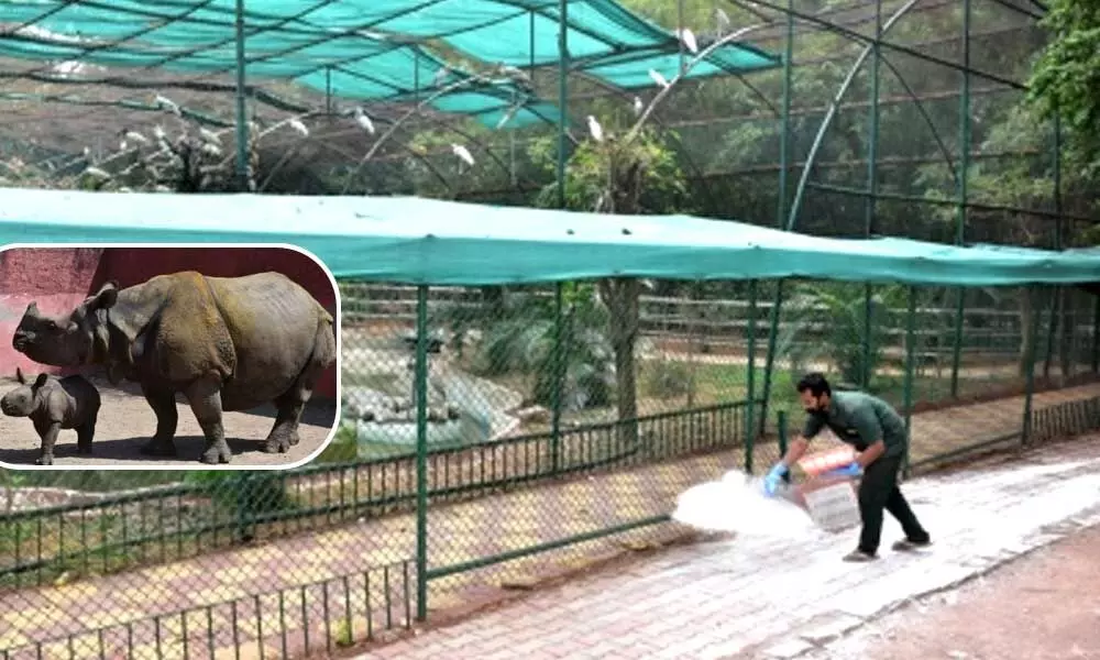 Hyderabad Zoo drops Komaram Bheem name for newborn gaur after row