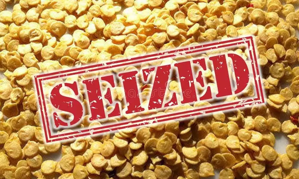 Unauthorised chilli seeds worth Rs 30 lakh seized