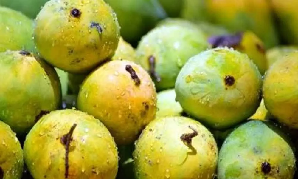 Mango varieties from Bengal, Bihar to be showcased in Bahrain
