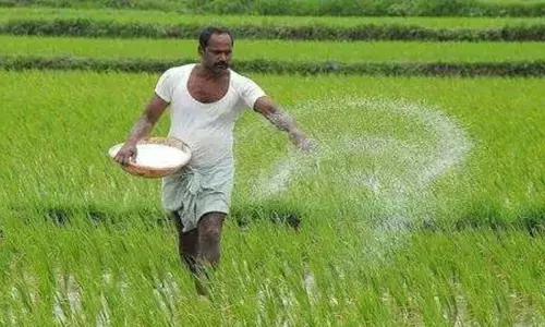 Paddy procurement process a tough task for farmers