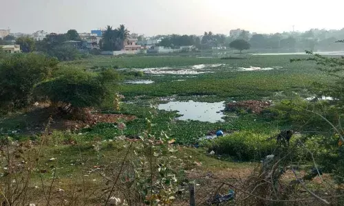 Locals demand permanent preservation of lakes