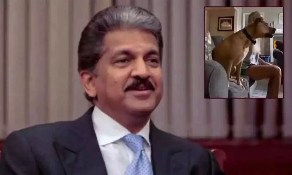 Watch The Trending Video Posted By Anand Mahindra Who Is Eagerly For The Pandemic To Be Over