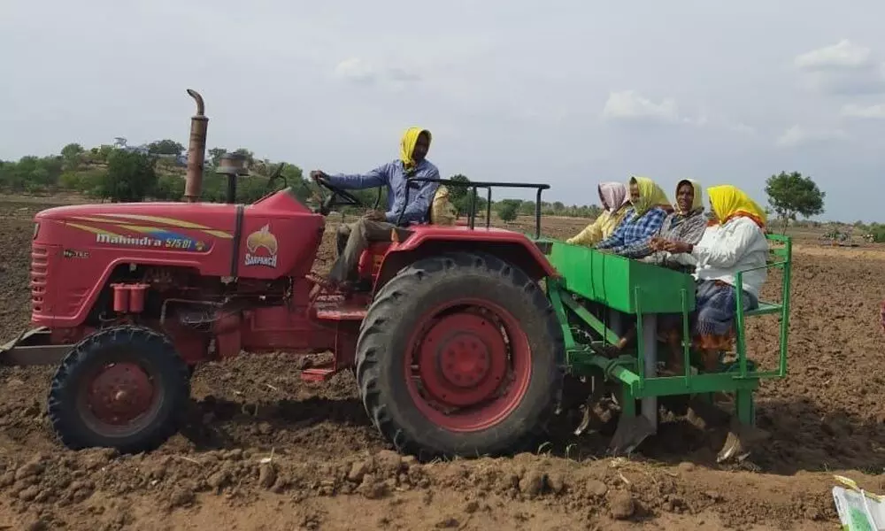 Farmers plowing for turmeric crop in Nizamabad