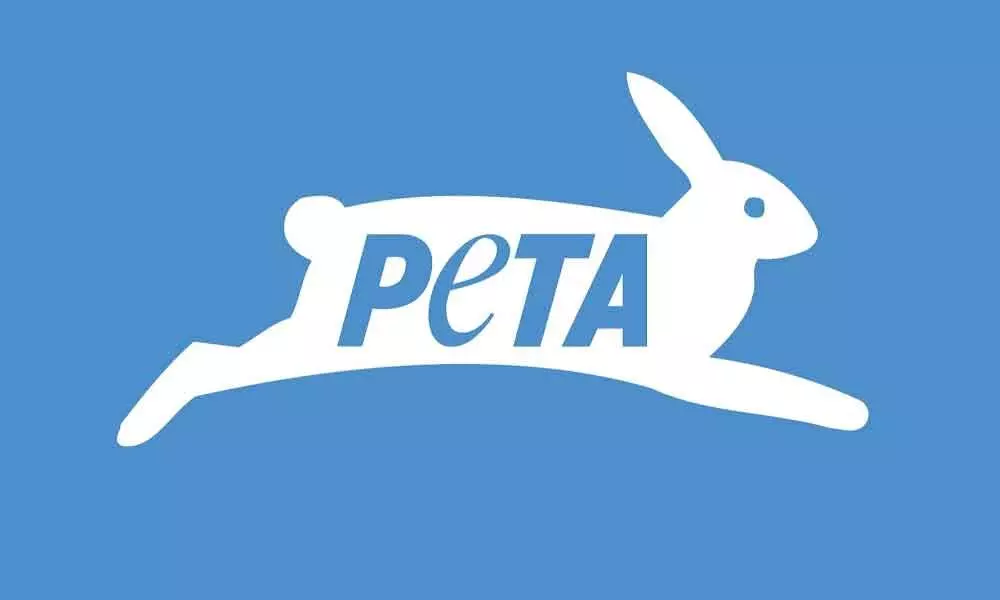 PETA only against cruelty towards animals, not anti-Hindu