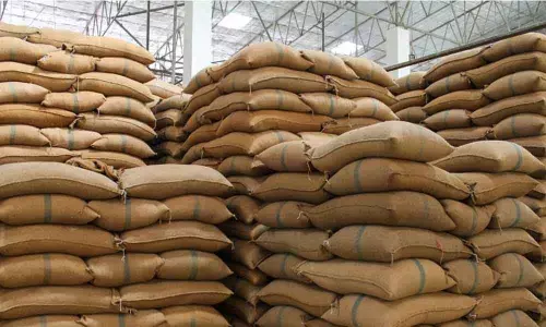 45 lakh MT paddy to be bought in rabi season