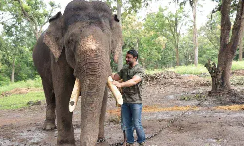 Actor Darshan’s appeal triggers fund flow for zoo animals
