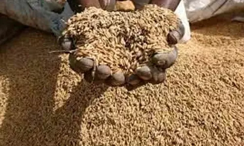 Arvind Kejriwal government under control of ration mafia: BJP