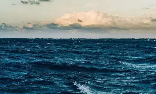 Turkeys environmental disaster, a global lesson