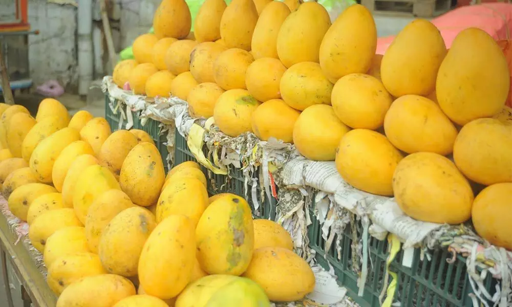 Lockdown shatters hopes of mango farmers
