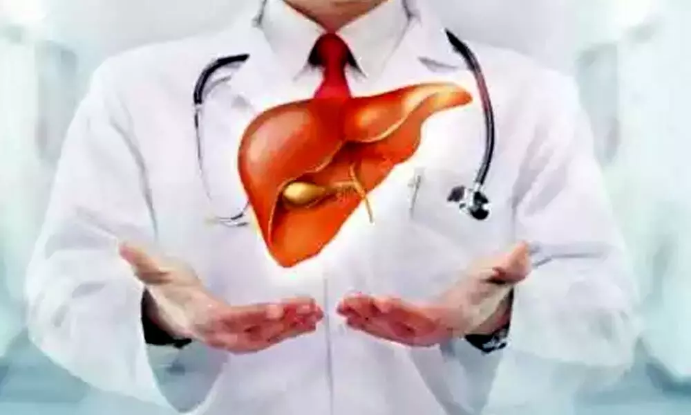 How excess sugar consumption causes fatty liver