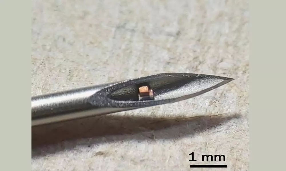 Scientists Have Developed The Worlds Tiniest Implantable Chip