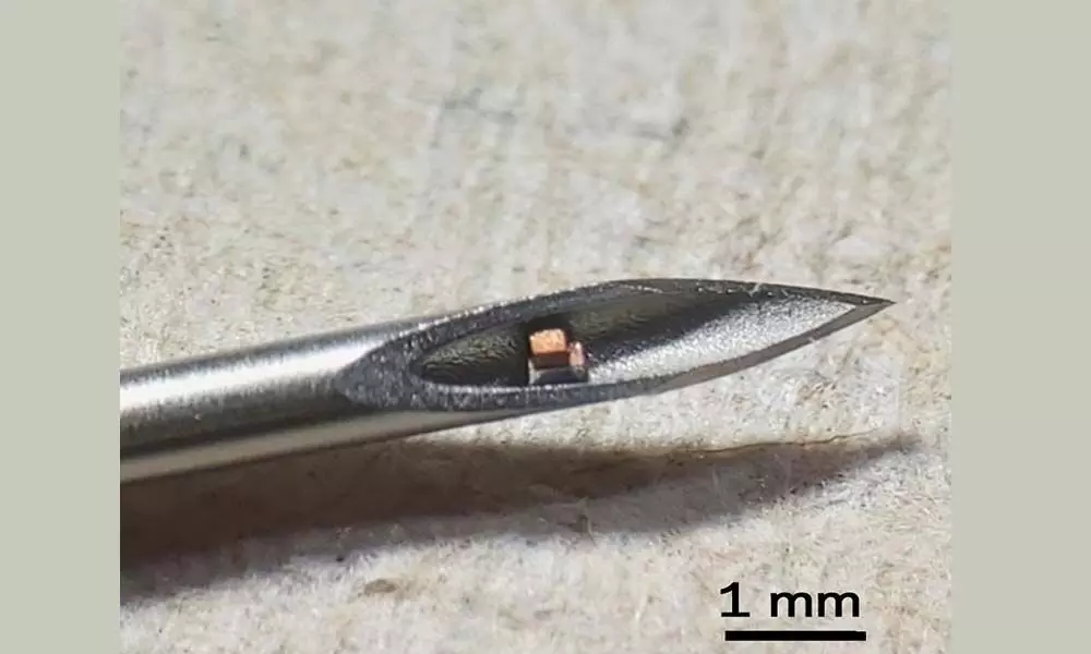 Scientists Have Developed The World's Tiniest Implantable Chip