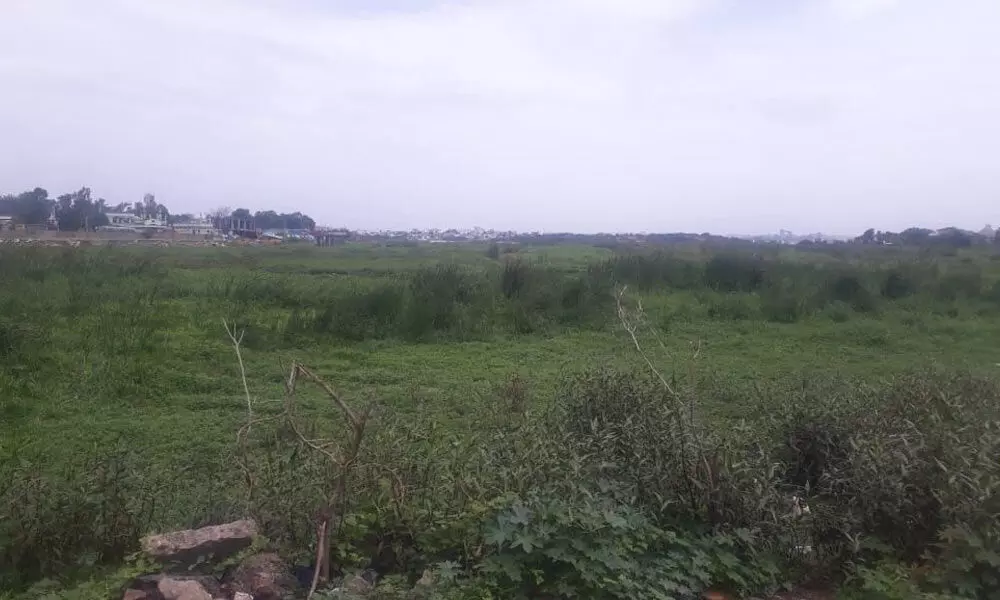 Encroachments, water hyacinth choke Mir Alam lake