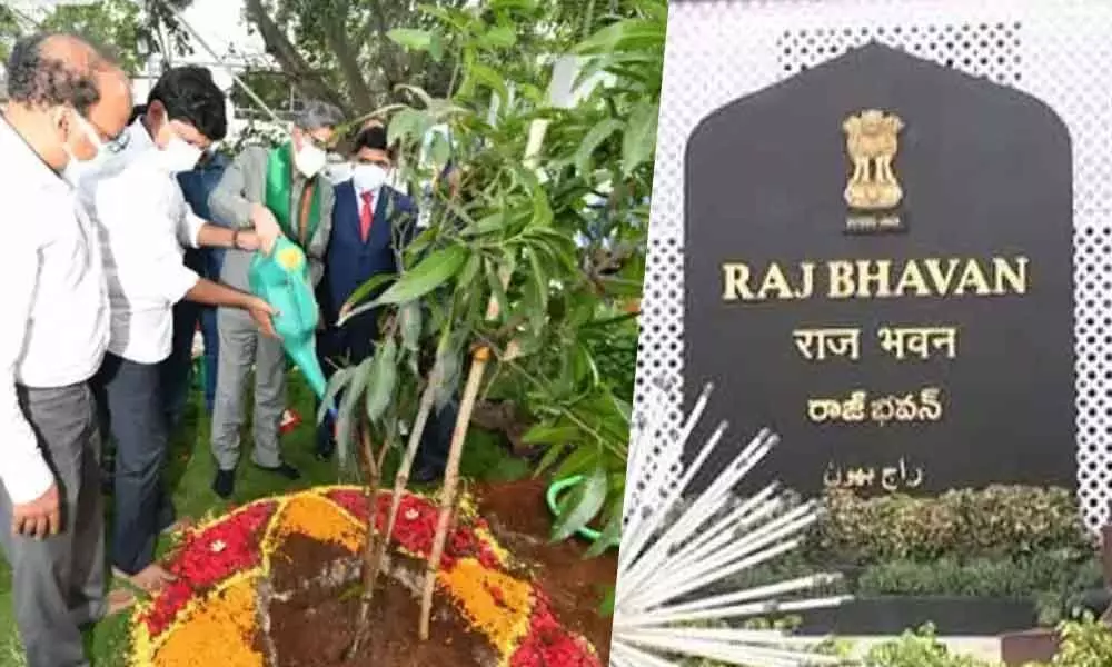 CJI N V Ramana plants sapling at Raj Bhavan