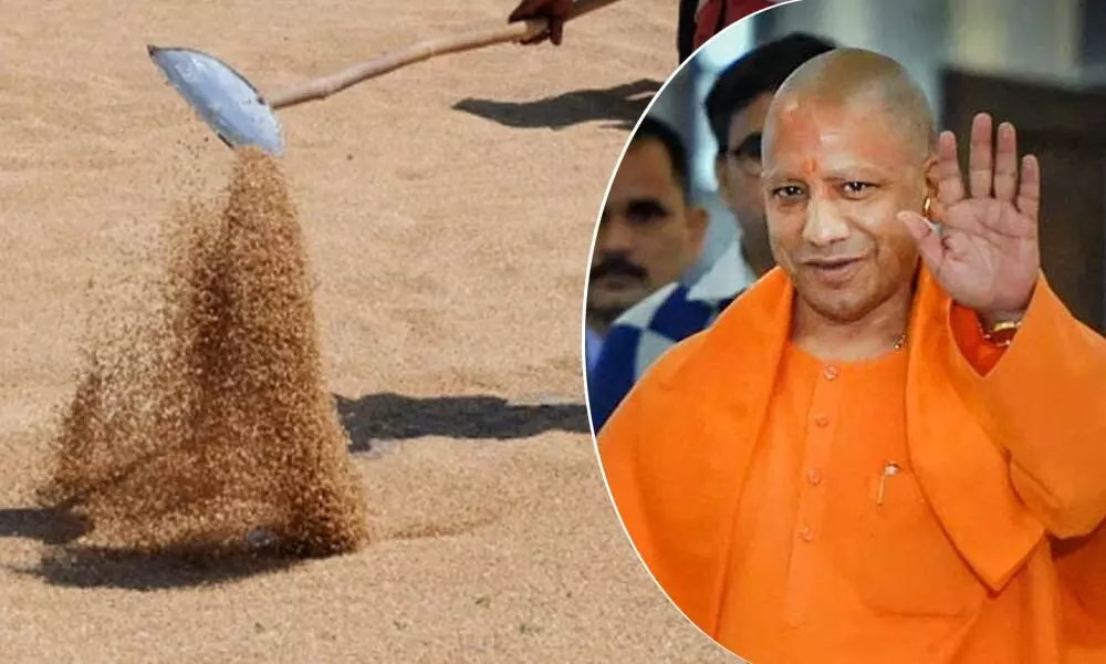 Yogi Adityanath government breaks its own record in wheat procurement