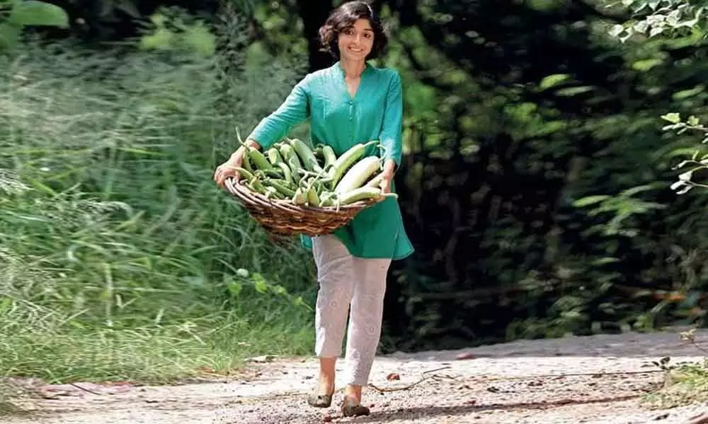 Gourds and monsoon sets a delightful combination