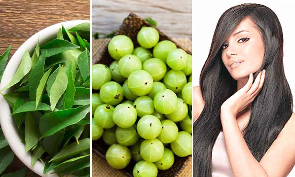 Amla & curry leaves adds benefit to your hair