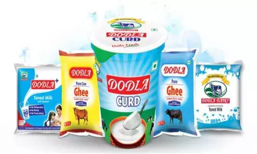 Dodla Dairy IPO: Opens today;