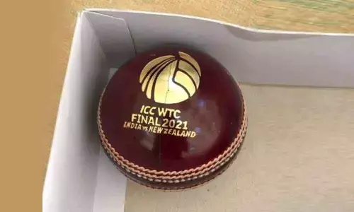 New Zealand reveal fit Williamson, WTC final ball