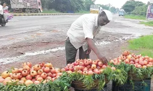 Three agri centres of excellence in Israel collaboration inaugurated in State