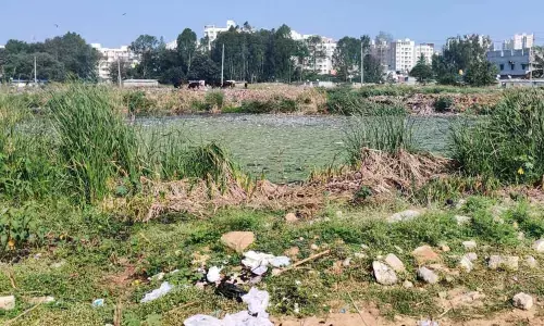 Karnataka High Court orders formation of district level lake protection committtess