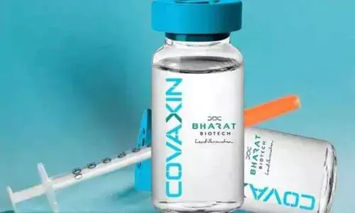 No newborn calf serum in Covaxin, says Government