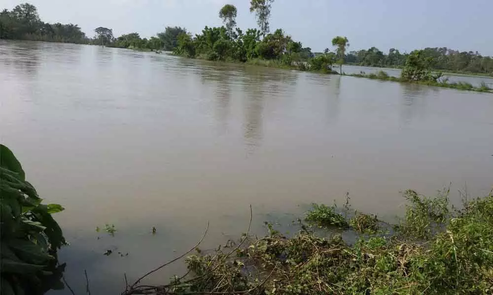 Fields the floodwater of Vamsadhara river at Mathala village in Kotturu mandal.  (File photo)
